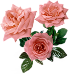 0_b92b3_a117c477_S 